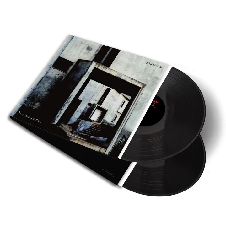 Persen van uw 12" vinyl in gatefold | Distrolution Merch